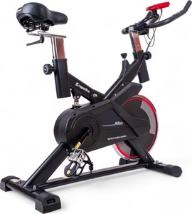 Spiningo dviratis inSPORTline Alfan (iki 100kg, smagr. 6kg)