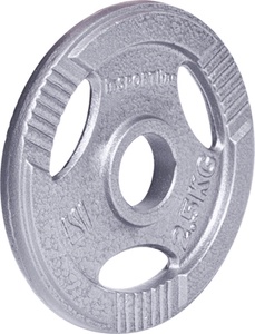 Plieninis svoris grifui 30mm inSPORTline Hamerton 2.5kg pagrindinė